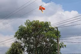 Không nên thả diều gần công trình lưới điện
