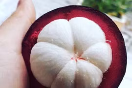 Bất ngờ trước tác dụng của măng cụt đối với sức khỏe