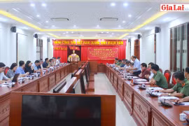 Tiểu ban An ninh trật tự và Y tế-Hội đồng Bầu cử quốc gia làm việc với Ủy ban Bầu cử tỉnh Gia Lai