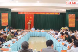 Ban Thường vụ Tỉnh ủy làm việc với Ban Thường vụ Thị ủy Ayun Pa và Huyện ủy Chư Sê