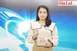 Gia Lai 48h: Siết chặt quản lý, ngăn chặn nhập cảnh trái phép