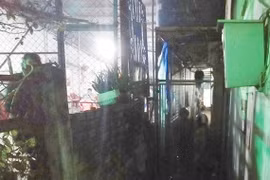 Hai bà cháu bị sát hại trong phòng trọ