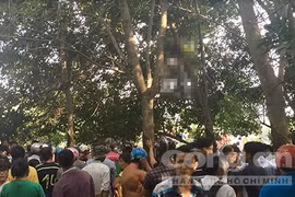 Nam thanh niên chết trong tư thế treo cổ trong vườn cao su