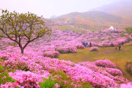 Cảnh đẹp ở quê hương HLV Park Hang-seo