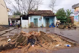 Chặt cây trong trường làm sập nhà dân, đè chết người