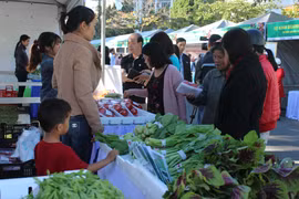 Chợ phiên nông sản an toàn lần đầu doanh thu gần 100 triệu đồng