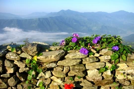 Đến Sarangkot ngắm bình minh trên dãy Himalaya