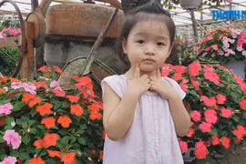 Du khách kéo về vườn hoa gây "sốt' trên mạng để chụp ảnh