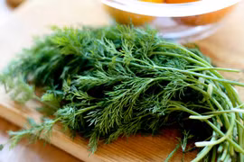 Tác dụng chữa bệnh tuyệt vời từ cây thì là