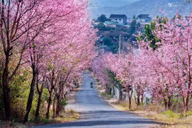 Gia Lai nằm trong những điểm đến đẹp nhất Việt Nam để du lịch