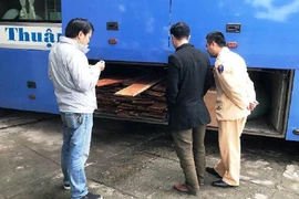 Xe khách Gia Lai chở loại gỗ đặc biệt quý hiếm