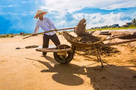 Diêm dân nhọc nhằn giữ nghề ở Hải Lý