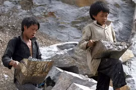 Sử dụng lao động dưới 16 tuổi có thể bị phạt đến 12 năm tù