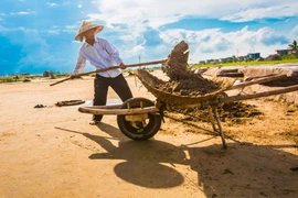 Diêm dân nhọc nhằn giữ nghề ở Hải Lý