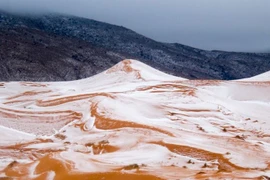 Sa mạc Sahara lại có tuyết rơi