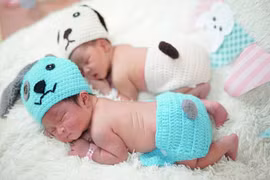 Thế giới chào đón năm… Chó vàng 2018