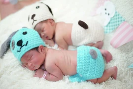 Thế giới chào đón năm… Chó vàng 2018