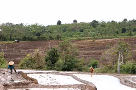 Chư Sê đẩy mạnh sản xuất vụ Đông xuân