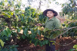 Phạm Ngọc Thành: Đảng viên tình nguyện nhập ngũ