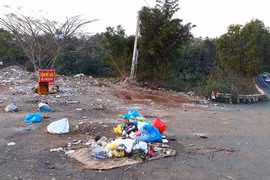 Vứt rác trước biển cấm