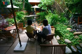 Quán cà phê hút khách với cây xanh và hồ cá