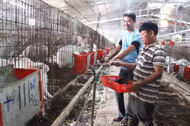 HTX Nông nghiệp và Dịch vụ Tiến Thành: Thành công với nghề nuôi thỏ