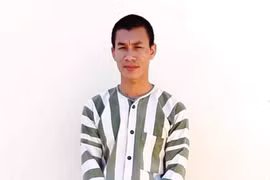 Hi hữu thuê người hái trộm cà phê: Làm giữa ban ngày