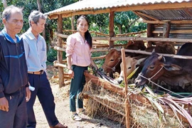 Ia Rong nỗ lực giảm nghèo