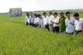 Phú Thiện ưu tiên đầu tư nông nghiệp, nông thôn