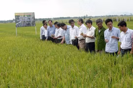 Phú Thiện ưu tiên đầu tư nông nghiệp, nông thôn