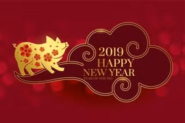 Năm Kỷ Hợi 2019 theo quan niệm của người châu Á