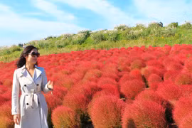 Những lễ hội hoa rực sắc xuân ai cũng ao ước được đến