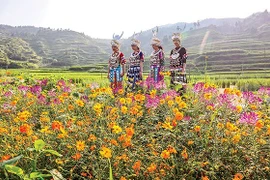 Độc đáo miêu làng Tây Giang Trung Quốc