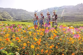 Độc đáo miêu làng Tây Giang Trung Quốc