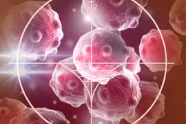 Phát hiện khả năng ngăn chặn tế bào ung thư phát triển