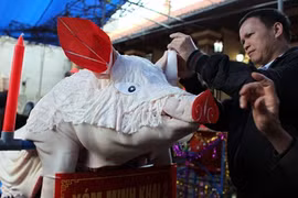 Tết Kỷ Hợi nói chuyện heo trong mâm cỗ tế lễ