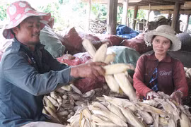 Ia Rtô: Thay đổi nếp nghĩ để thoát nghèo