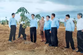 35 năm: Công ty Cao su Mang Yang không ngừng đổi mới