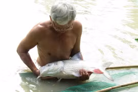 Đưa loài cá đặc sản suýt tuyệt chủng lên Tây Nguyên nuôi lồng bè