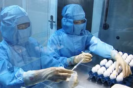 Hành trình vắc-xin Việt Nam