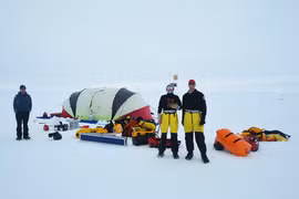 Sinh tồn ở nơi lạnh thấu xương