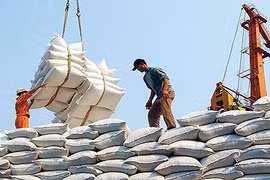 100.000 tấn gạo Việt Nam chuẩn bị xuất khẩu sang Trung Quốc