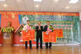 Công ty Cao su Chư Pah phấn đấu đạt lợi nhuận trên 32 tỷ đồng