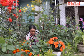 Sắc Xuân trước hiên nhà