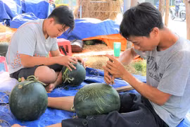 Thợ khắc dưa hấu thù lao 1 triệu đồng/ngày