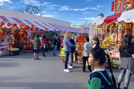 Tết của người Việt trên đất Mỹ