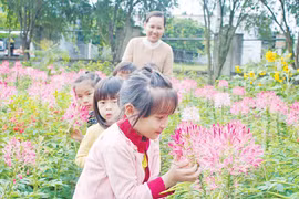 Gia Lai: Nhanh chóng ổn định dạy và học