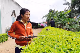 Người Chi Hội trưởng tâm huyết với phong trào phụ nữ