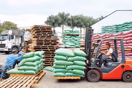 Cơ hội cho Gia Lai từ CPTPP