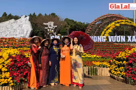 Nô nức du xuân Kỷ Hợi